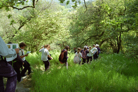 exploring the near to nature trail